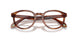 6162 - Tortoise