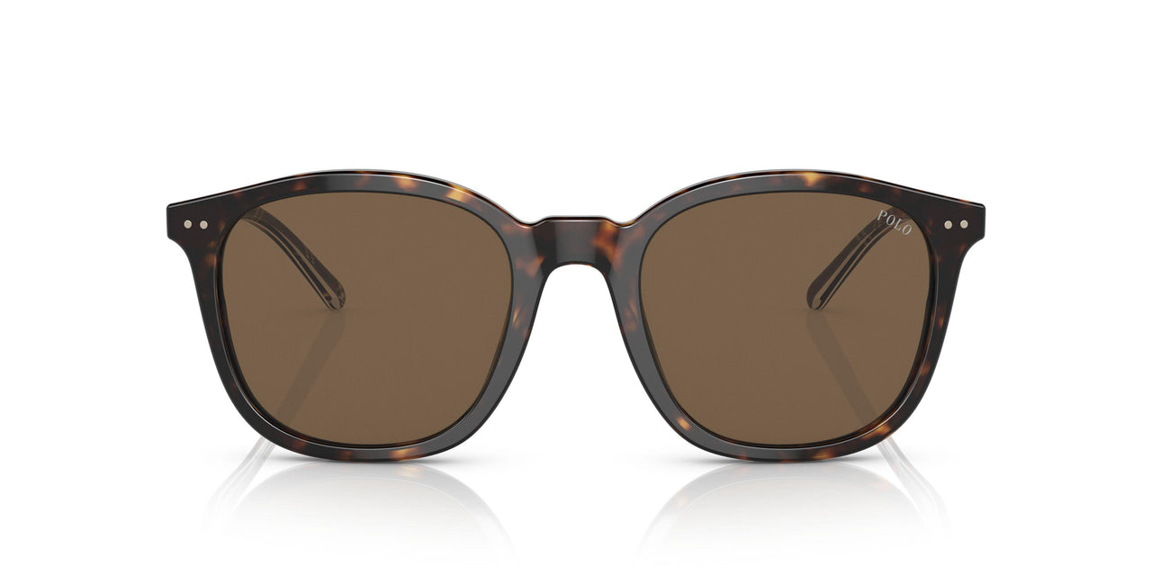 500373 - Brown - Brown