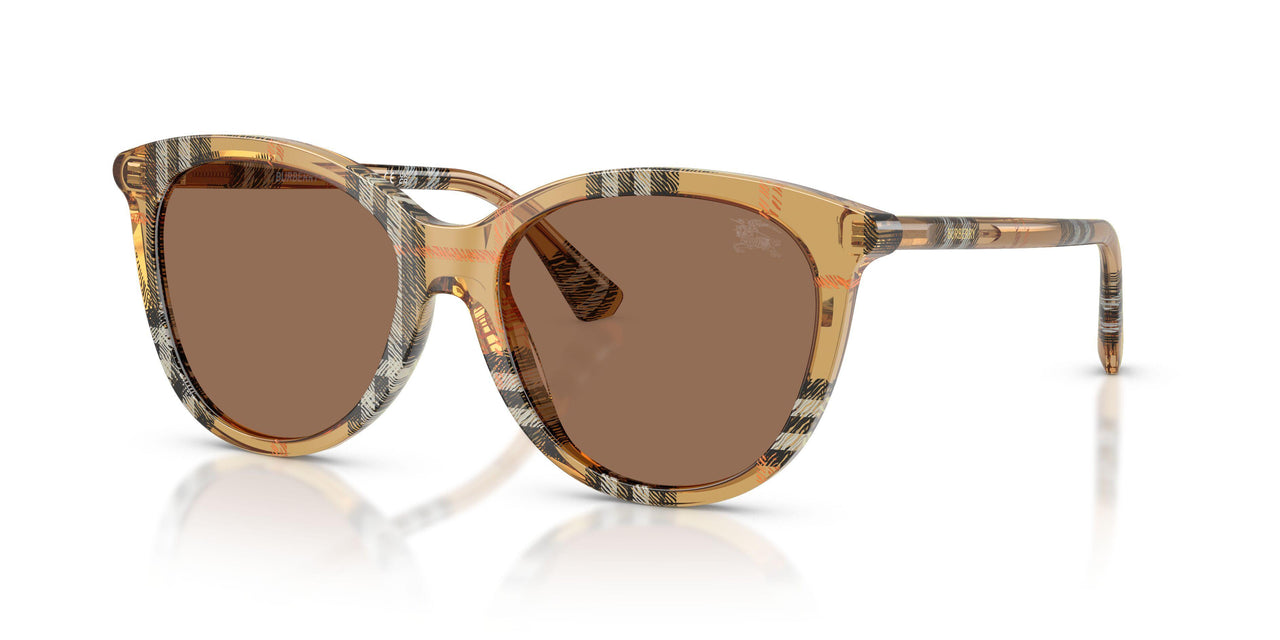 416373 - Brown - Dark Brown