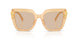 308993 - Brown - Light Brown