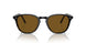 172283 - Black - Brown Polarized