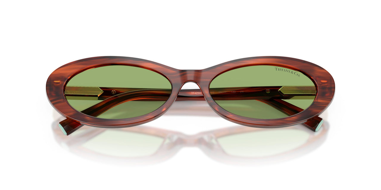 8440/2 - Tortoise - Green