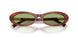8440/2 - Tortoise - Green