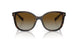 2AU6E1 - Tortoise - Polar Brown Gradient