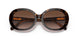 512013 - Havana - Brown Gradient