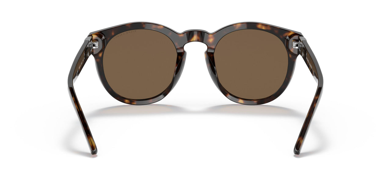 500373 - Havana - Dark Brown