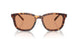 14O07V - Tortoise - Orange