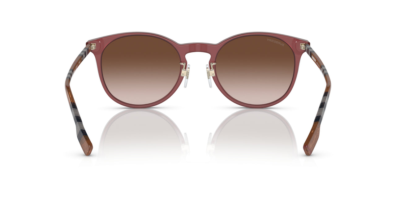 401813 - Red - Brown Gradient