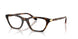 W656 - Brown