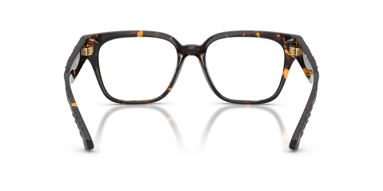 4106 - Tortoise