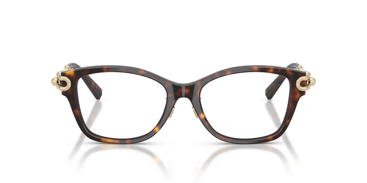 8015 - Tortoise