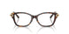 8015 - Tortoise