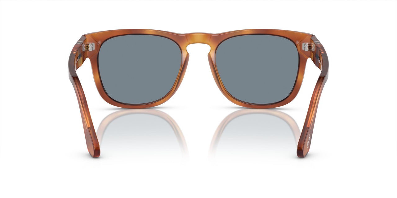 96/56 - Brown - Light Blue
