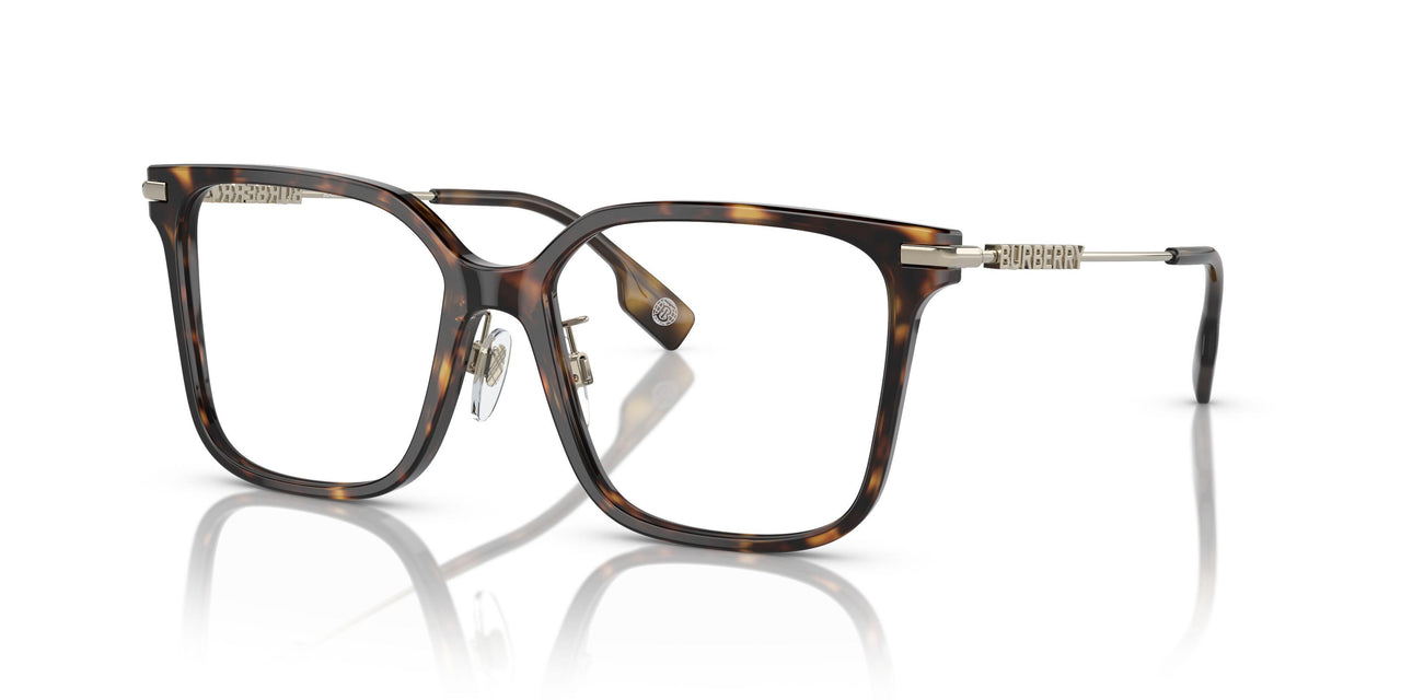 3002 - Brown