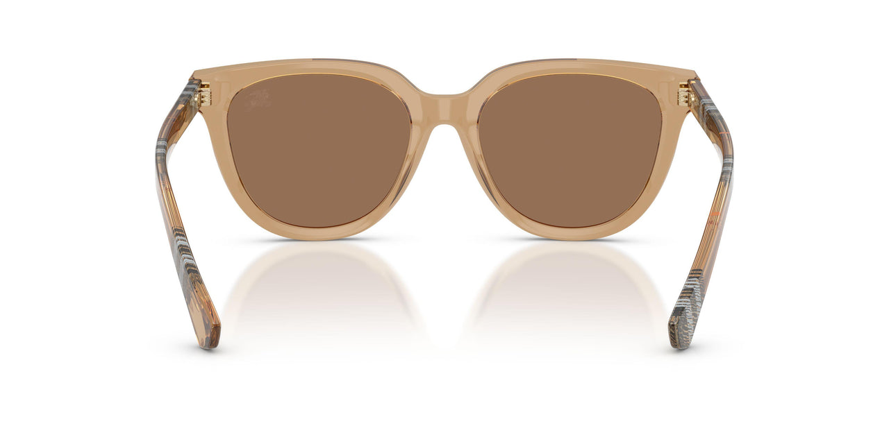 416473 - Beige - Dark Brown
