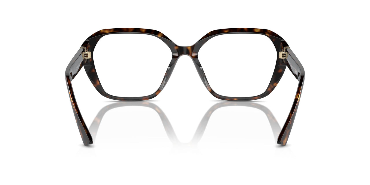 5002 - Tortoise