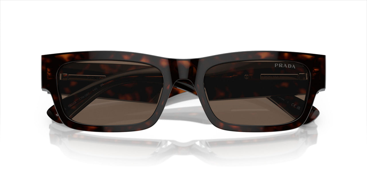 17N08T - Tortoise - Brown