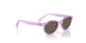 7172/3 - Violet - Brown