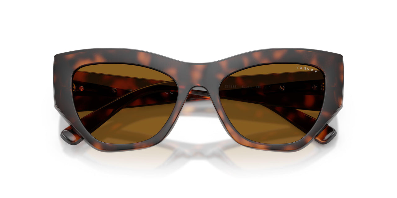 271883 - Brown - Dark Brown Polar