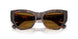 271883 - Brown - Dark Brown Polar