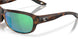 911908 - Tortoise - Green Mirror