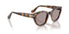 105253 - Tortoise - Violet