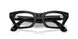 601/1M - Black - Clear/green