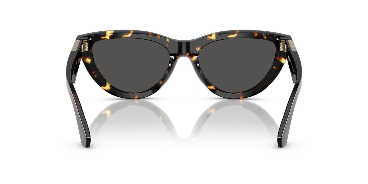 410687 - Tortoise - Dark Grey