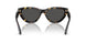 410687 - Tortoise - Dark Grey