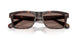 100953 - Tortoise - Sierra