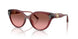 317511 - Brown - Brown Rose Gradient