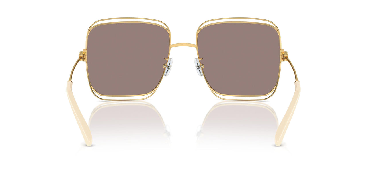 33437N - Gold - Light Purple & Brown Mirror