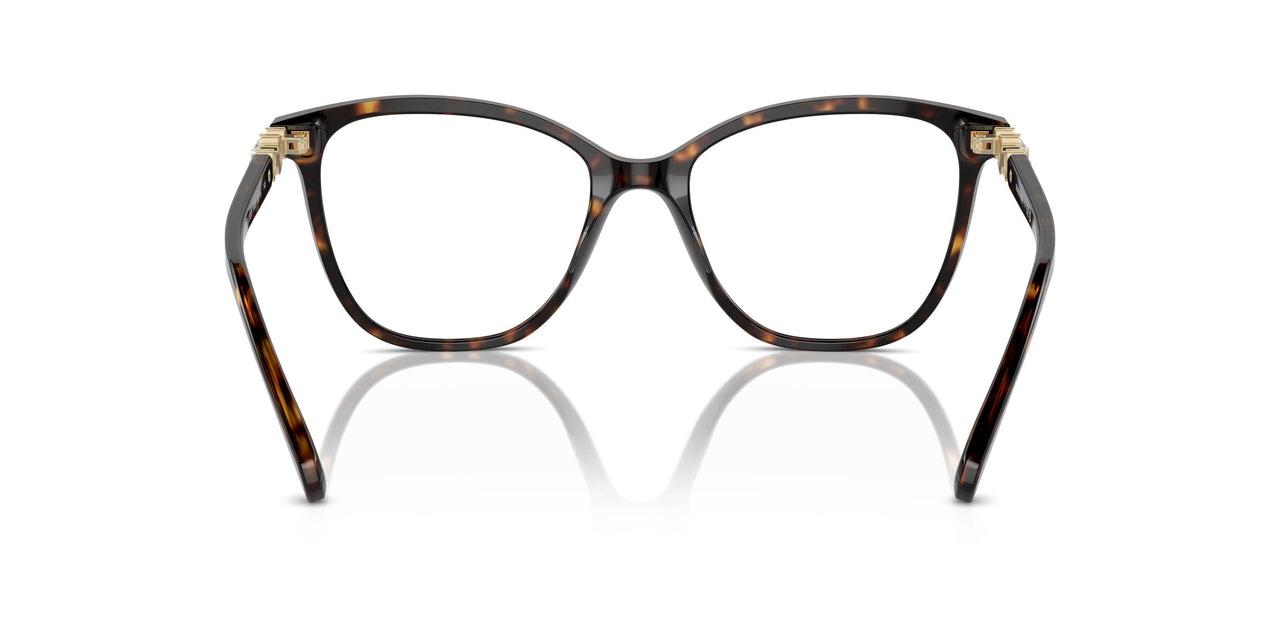 1002 - Brown