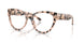 5080 - Tortoise