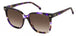 Carrera 3002 Sunglasses