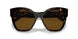 2AU5Y1 - Havana - Polar Dark Brown