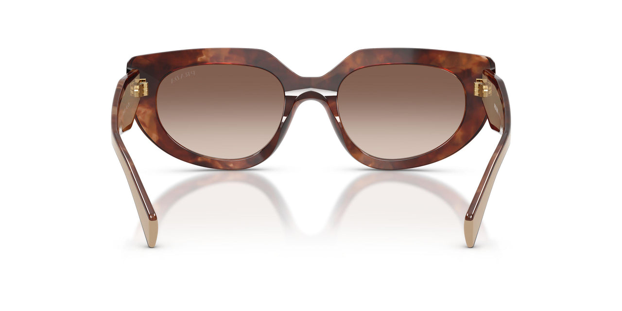 00K10S - Tortoise - Brown Gradient