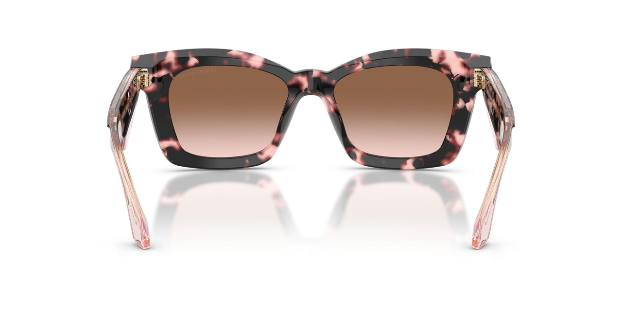 623013 - Tortoise - Brown Gradient