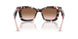 623013 - Tortoise - Brown Gradient