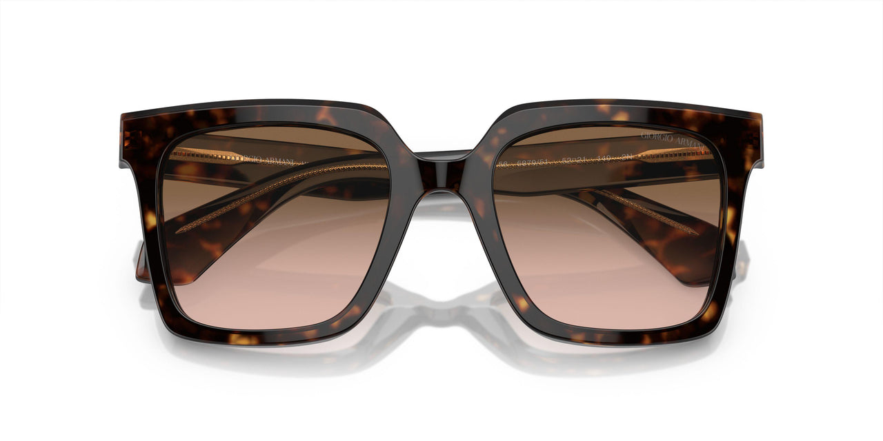 587951 - Tortoise - Brown Gradient