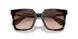 587951 - Tortoise - Brown Gradient
