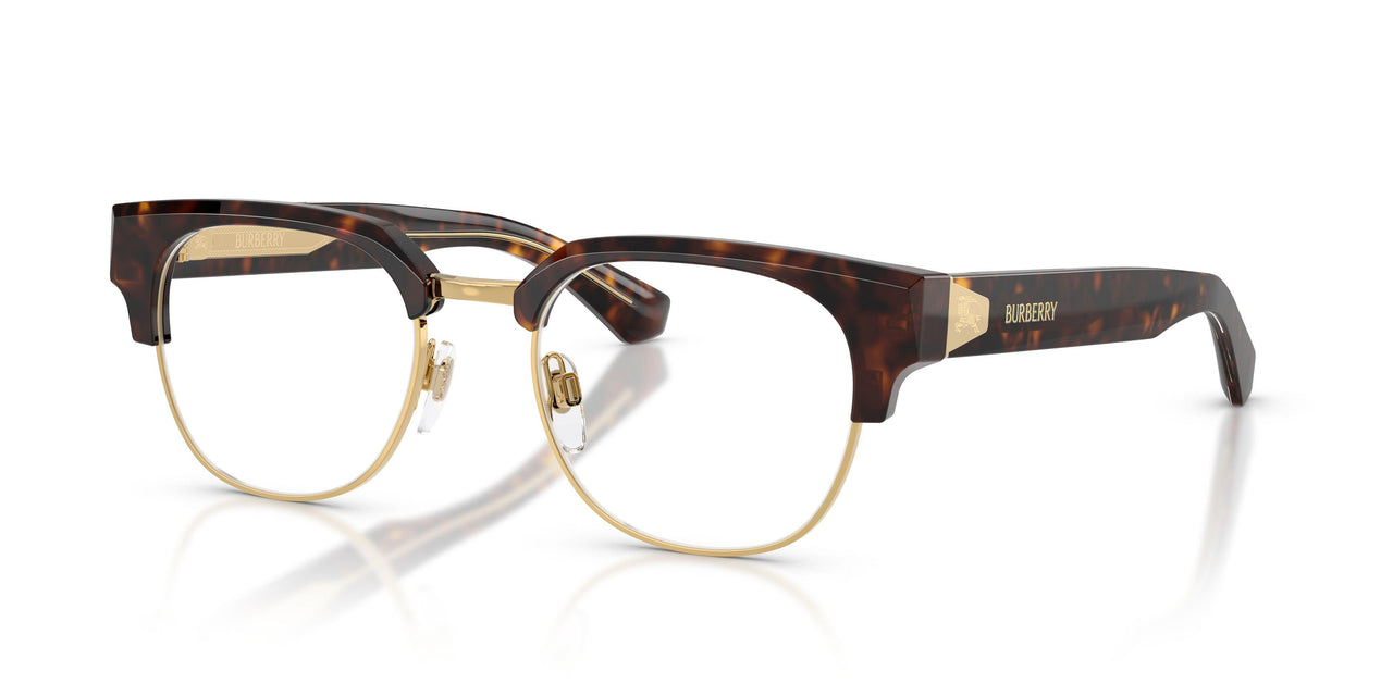 3002 - Brown