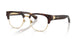 3002 - Brown