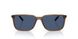 299780 - Brown - Dark Blue
