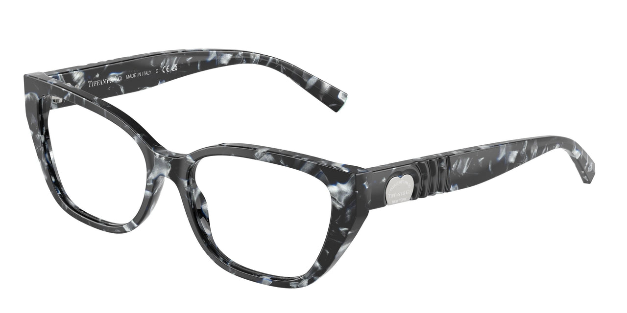 8428 - Tortoise