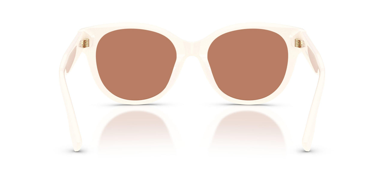207573 - Brown - Bone
