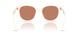 207573 - Brown - Bone