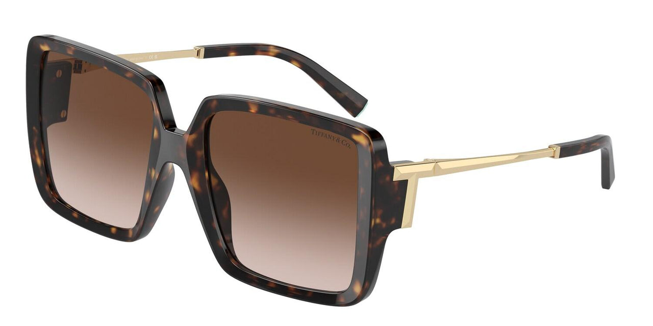 80153B - Tortoise - Brown Gradient
