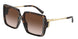 80153B - Tortoise - Brown Gradient
