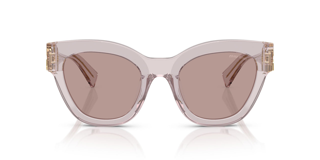 12W20I - Violet - Light Purple Brown